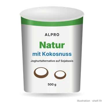 Illustration: Natur mit Kokosnuss